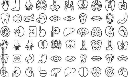 Human Anatomy Outline Icons Set with Body Organs and Parts