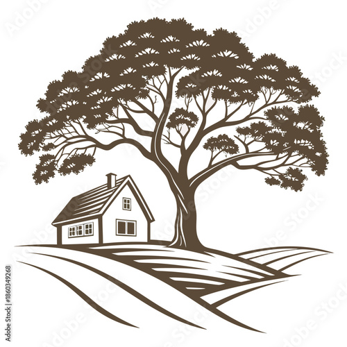 house and trees