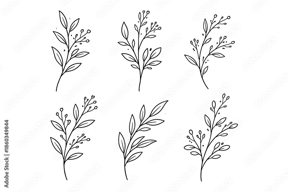 Fototapeta premium Elegant floral line art collection featuring delicate botanical branches