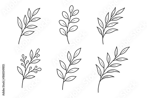 Minimalist botanical leaf designs set in black and white