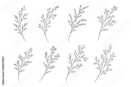 Elegant botanical line art stems and leaves set for modern design projects