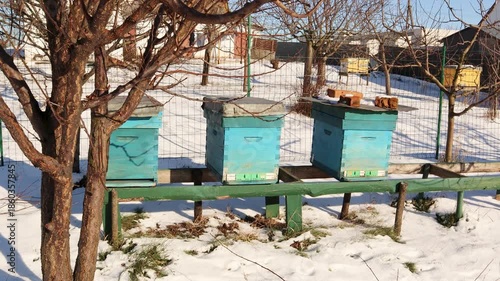 Colorful wooden beehives standing on a green stand in a rural apiary. The apiary is covered in snow during a sunny winter day