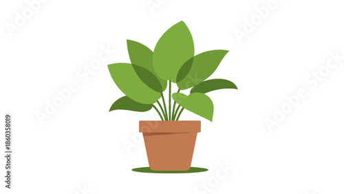Green Plant in Pot A Simple and Elegant Indoor Decoration.