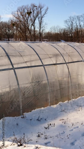 Large polytunnel greenhouse standing in a field covered with fresh snow on a sunny winter day. The landscape features bare trees and a clear blue sky