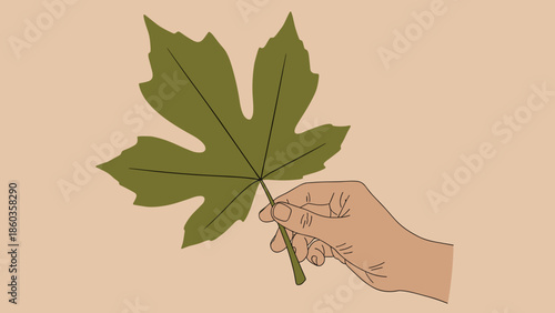 Hand Holding a Green Maple Leaf Illustration.