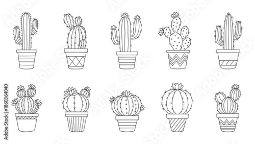 A collection of various cactus and succulent plants in decorative pots, illustrated in a clean black and white line art style.