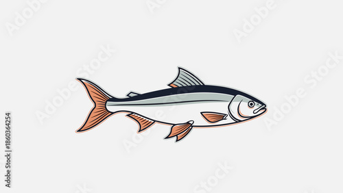 Illustration of a Silver Fish with Orange Fins.