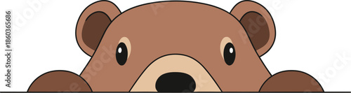 Cute brown bear peeking from behind white background