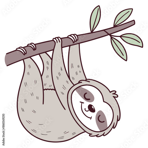 Sleepy Sloth Hanging from Branch