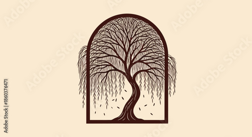 Elegant illustration of a weeping willow tree with gracefully draped branches and scattered leaves, enclosed in a decorative arched frame.