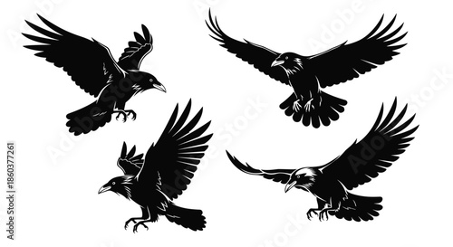Four black ravens flying and landing, illustrated in a stark black and white style, showcasing their powerful wings and sharp features.