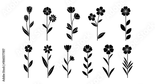 Minimalist botanical collection of diverse black silhouette flower icons, showcasing various petal designs, stems, and leaves in a clean graphic style.