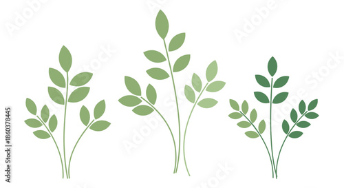 A collection of three minimalist green leaf sprigs in varying shades, perfect for elegant natural branding and botanical illustrations.