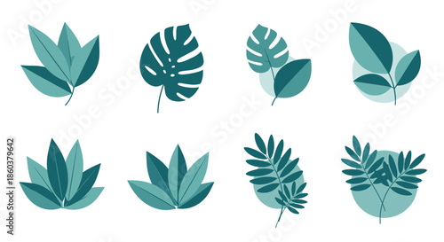 Set of diverse green leaf illustrations including tropical monstera and palm leaves in various shades of teal and green.
