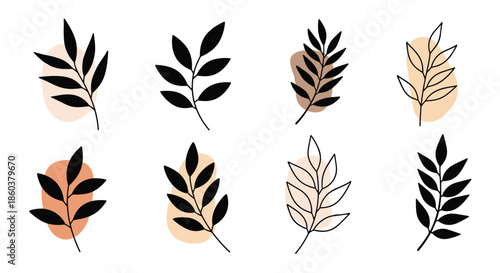 Collection of black leaf branch silhouettes placed over soft pastel organic shapes in earthy tones like beige and clay.