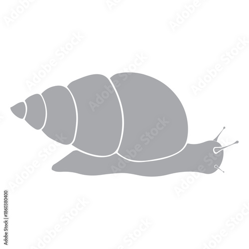 ​​snail