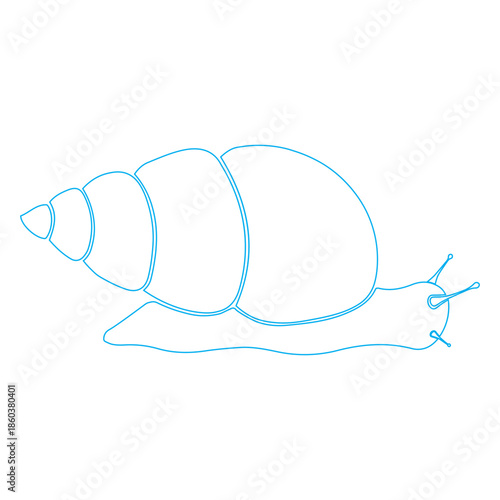 ​​snail