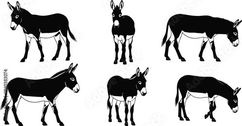 Set of domestic donkey or ass silhouettes in various standing and walking poses, farm animal icons for livestock, agriculture, and transport vector illustration