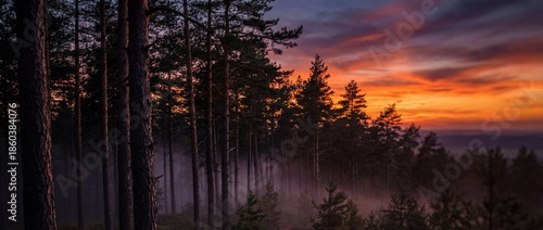 A serene sunset paints the ...
