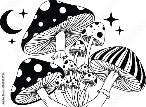 Mystical mushroom cluster vector line art with crescent moon and stars in a celestial forest night sky theme.