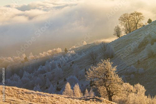 In the mountains near Paltinis, Sibiu, Romania