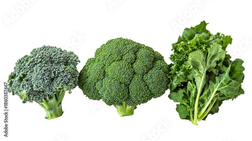 Broccoli kale and spinach three leafy green winter crops arranged on transparent background