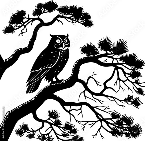 Owl Perched on Pine Branch – Black Silhouette Forest Scene