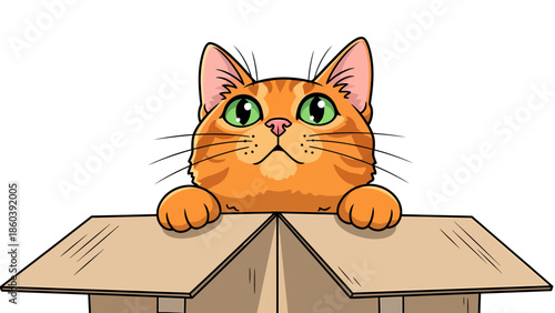 Curious Cat Peeking Out from a Cardboard Box
