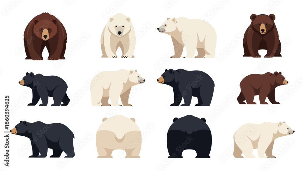 Fototapeta premium Cute Bear Character Vector Collection in Multiple Poses and Angles