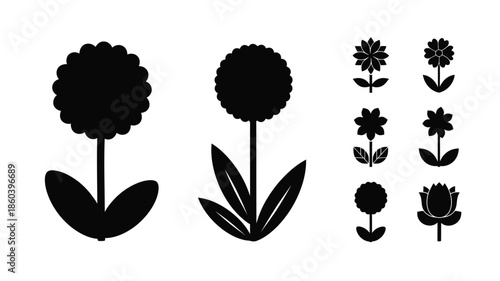 Minimalist floral arrangements in black and white showcasing a striking silhouette