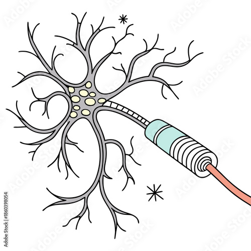 Detailed illustration of a neuron showcasing its complex branching dendrites and elongated axon with myelin sheath structure