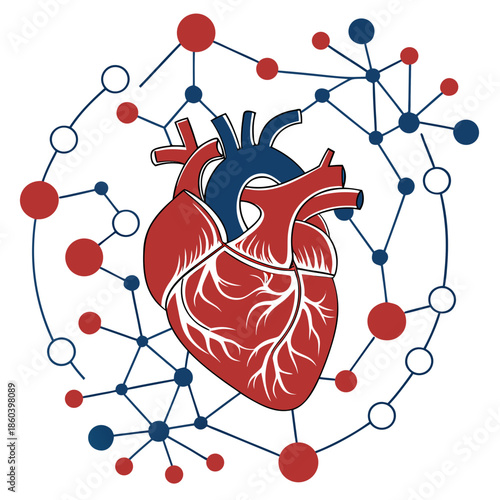 A detailed illustration showcasing the connection between a human heart and a complex network of nodes and lines