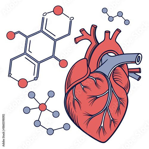 The intersection of cardiac health and molecular structures illustrating the biochemical foundations of cardiovascular function and disease