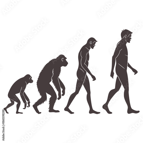 A visual depiction of human evolution showcasing progressive stages from early primates to modern humans in silhouette form