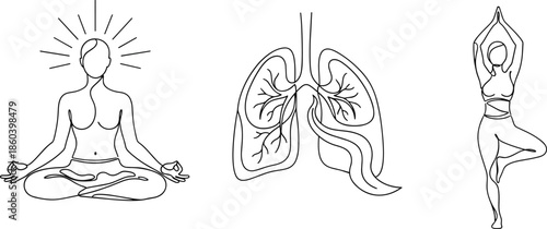 Yoga Meditation and Human Anatomy Illustration.
