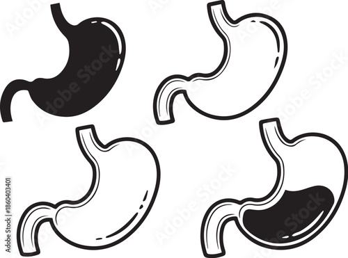 Medical icon of stomach anatomy illustrations