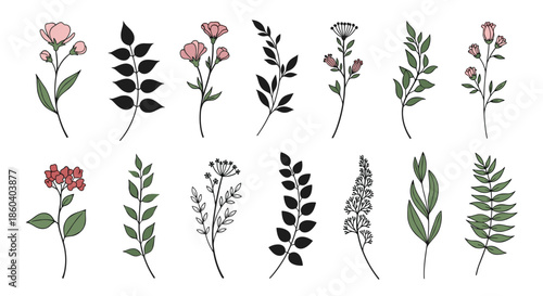 Set of delicate hand drawn botanical elements including various flowers and leaves in different styles for decorative use.