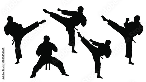 Martial arts practitioners in dynamic poses showcasing strength and skill silhouette
