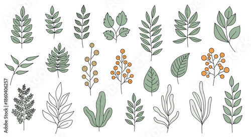 Comprehensive collection of various types of green leaves and branches with orange berries on a clean white background.