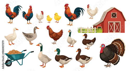 A comprehensive collection of various farm birds, including chickens, roosters, geese, ducks, turkey, chicks, with a barn and wheelbarrow.