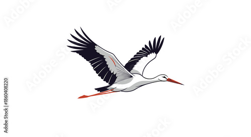 Graceful white stork with black wing feathers in full flight, showcasing its elegance and freedom, isolated on a white background.