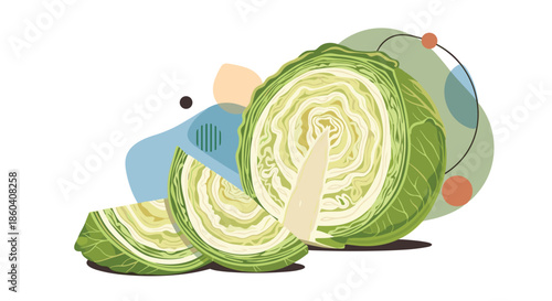 Fresh green cabbage, cut into several slices and wedges, revealing its crisp interior, surrounded by abstract shapes, ready for cooking.