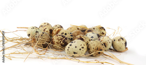 Quail eggs on straw isolated on white background. Natural patterned farm quail eggs in hay.
