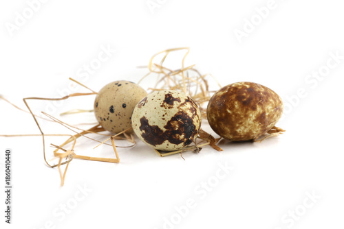 Quail eggs on straw isolated on white background. Natural patterned farm quail eggs in hay.