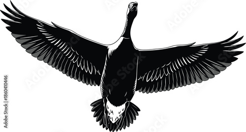 Flying goose silhouette vector illustration with spread wings showing wildlife bird anatomy isolated on white background for nature design projects