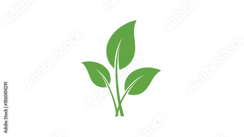 Small green seedling with three leaves sprouting from the ground symbolizing growth nature and environmental conservation.