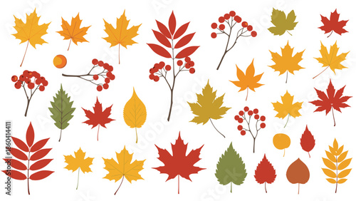 A large set of colorful autumn leaves and rowan berries, featuring various types like maple, oak, and birch in red, yellow, orange, and green.