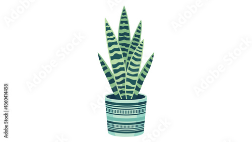 Potted snake plant with striped green leaves in a decorative teal and white ceramic container for home interior decor.
