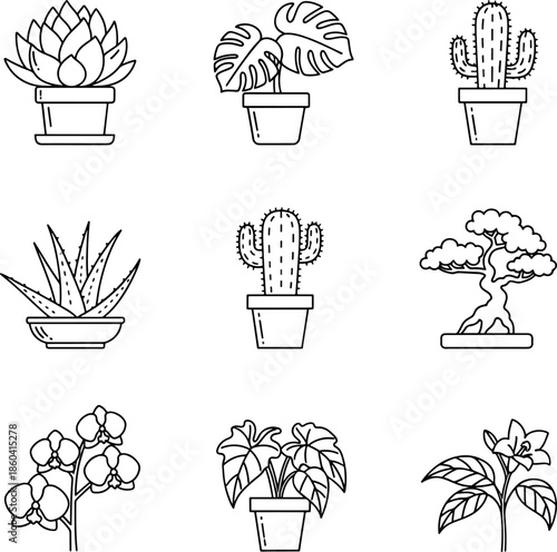 Collection of nine potted houseplants including succulents, cacti, orchid, monstera, aloe vera, and bonsai tree icons in outline style