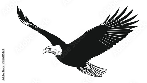 Majestic bald eagle in flight with wings spread wide silhouette vector on whit background